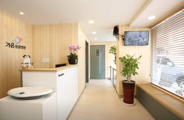 부산 중구 동물병원