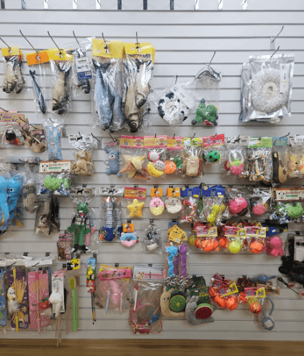 부산 영도구 동물병원