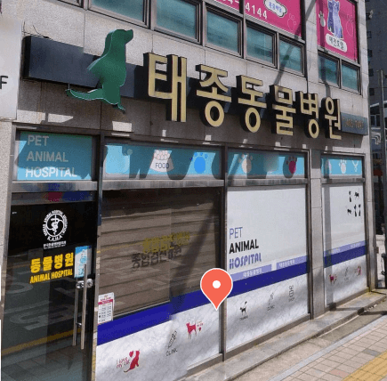 부산 영도구 동물병원