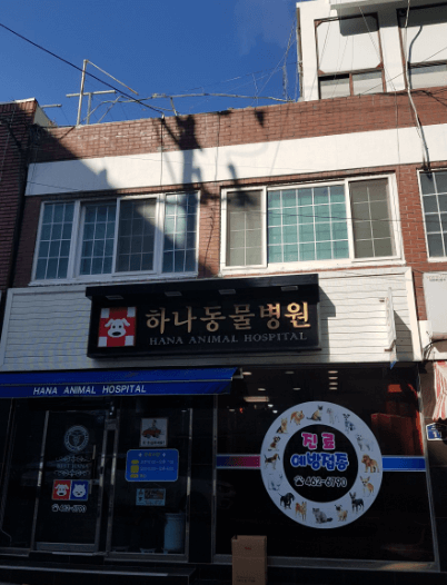 부산 동구 동물병원
