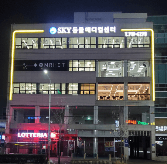 광주 서구 동물병원