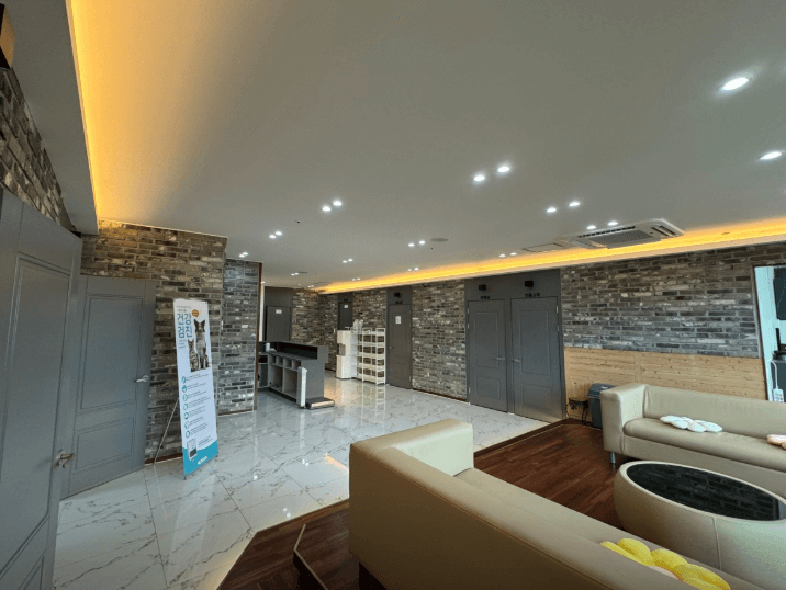 광주 서구 동물병원