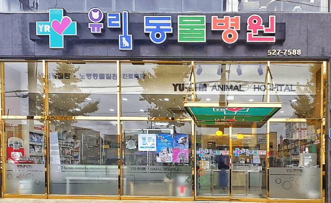 광주 서구 동물병원