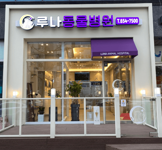 광주 남구 동물병원