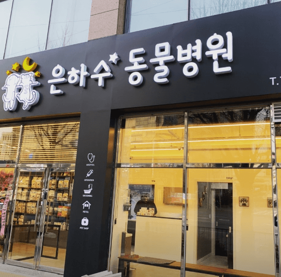 광주 남구 동물병원