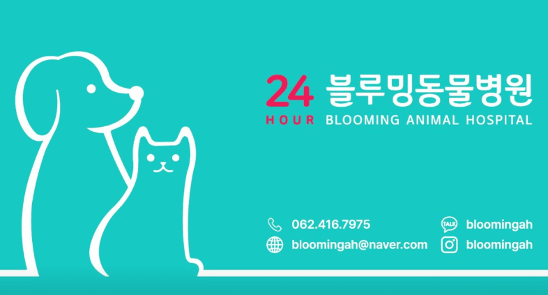 광주 북구 동물병원