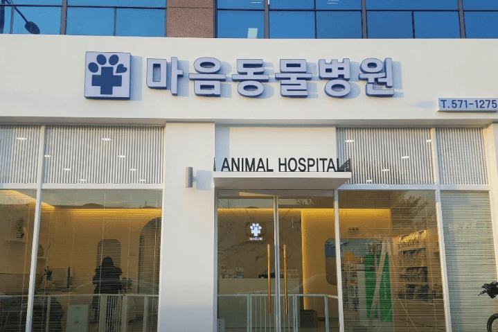 광주 북구 동물병원