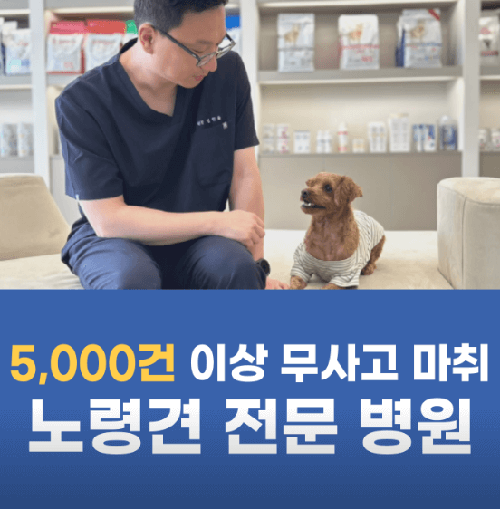 광주 북구 동물병원