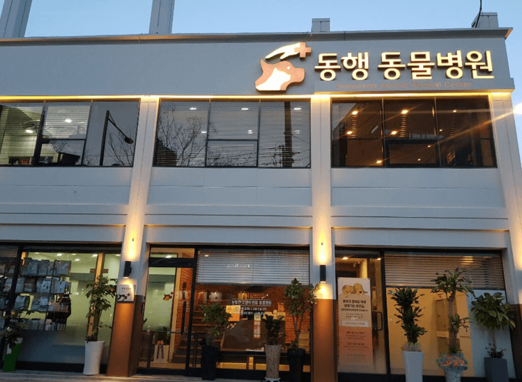 광주 북구 동물병원