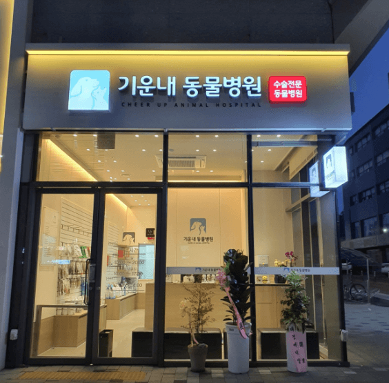 광주 북구 동물병원