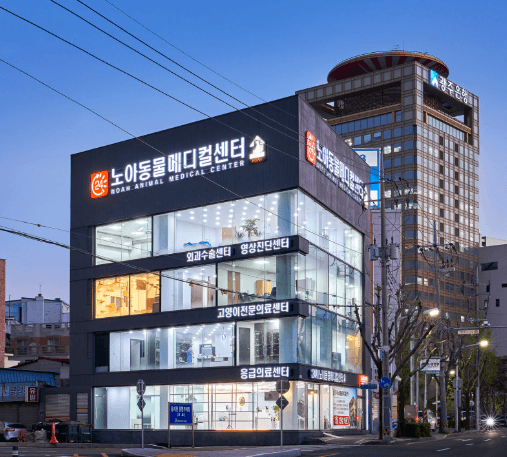 광주 동구 동물병원