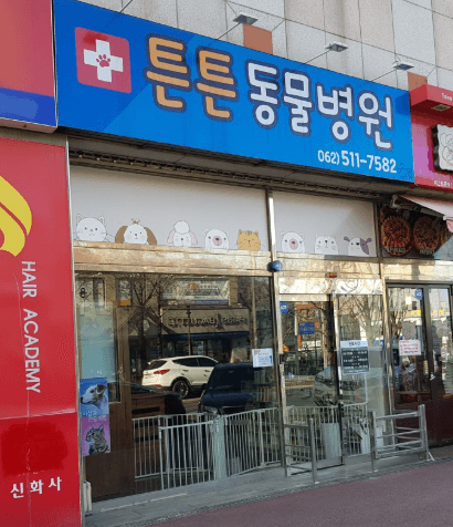 광주 동구 동물병원