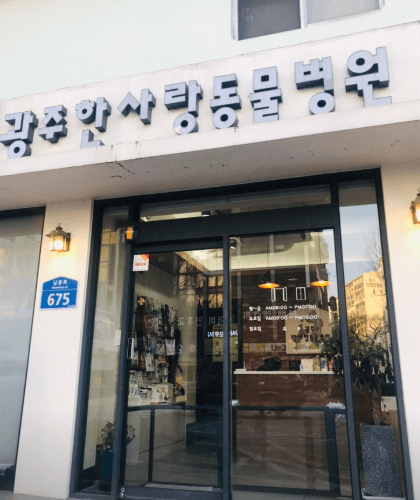 광주 동구 동물병원