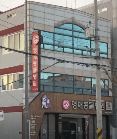 광주 동구 동물병원