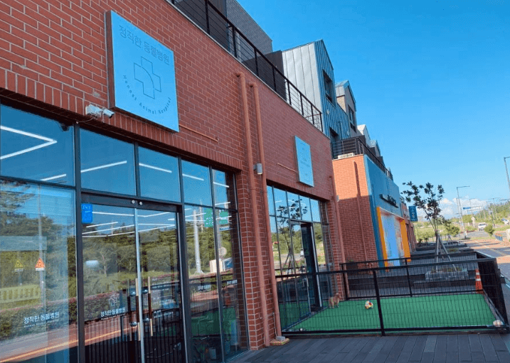 서귀포시 동물병원