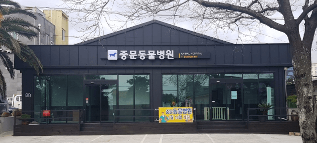 서귀포시 동물병원