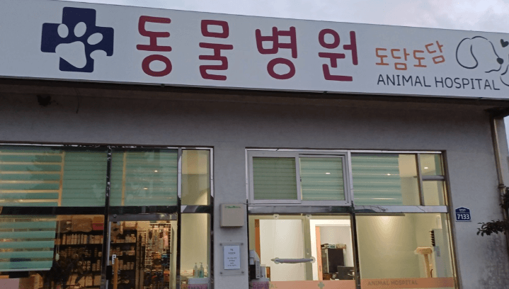 서귀포시 동물병원