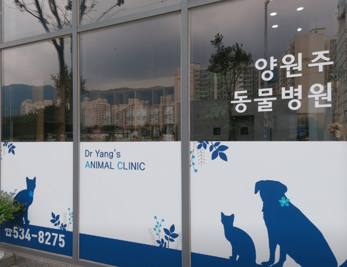 해남군 동물병원