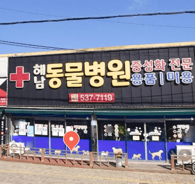 해남군 동물병원