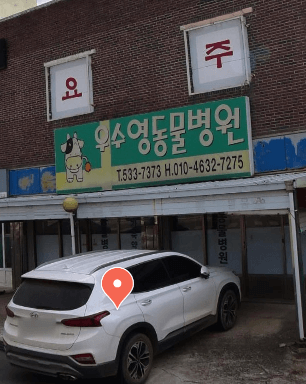 해남군 동물병원