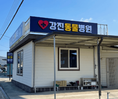 강진군 동물병원