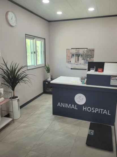 장흥군 동물병원