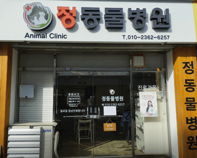 장흥군 동물병원