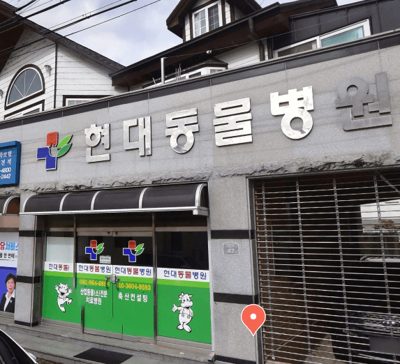 장흥군 동물병원