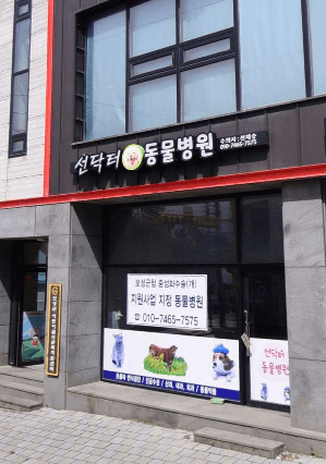 보성군 동물병원