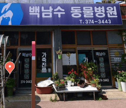 화순군 동물병원