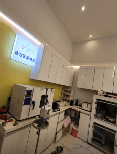 나주시 동물병원