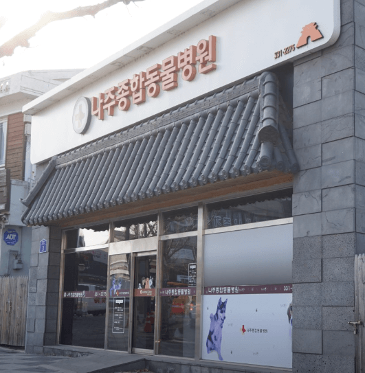 나주시 동물병원