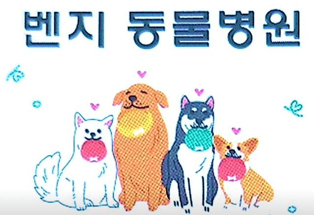 나주시 동물병원