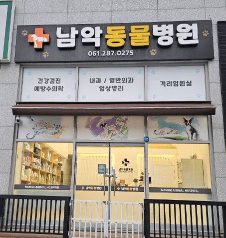 무안군 동물병원