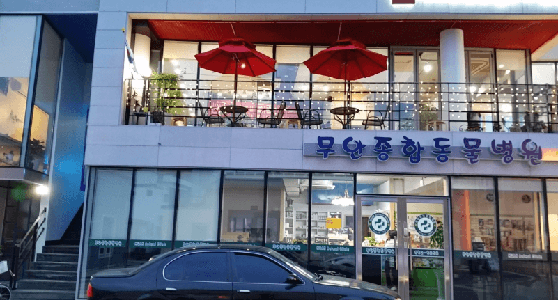 무안군 동물병원