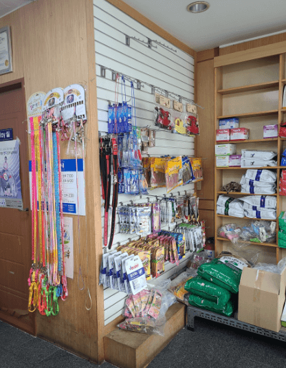 목포시 동물병원