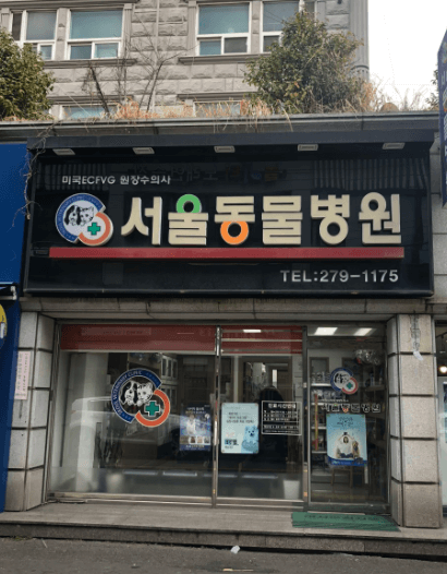 목포시 동물병원