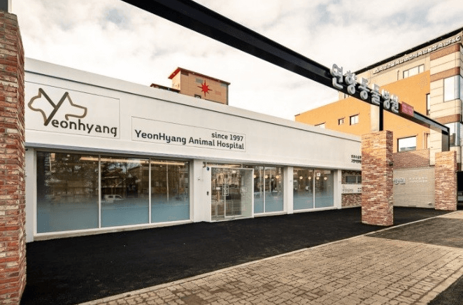 순천시 동물병원