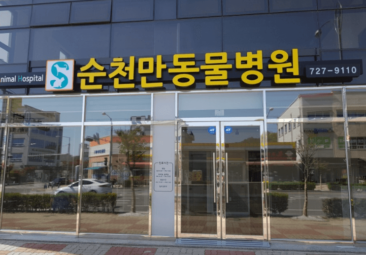 순천시 동물병원