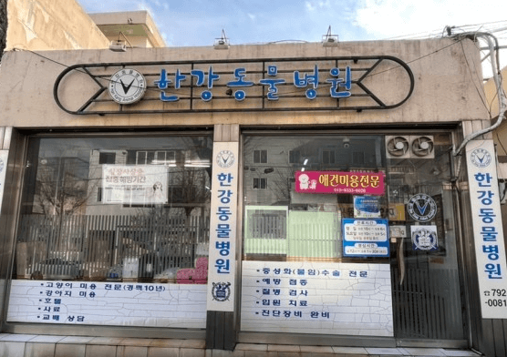 광양시 동물병원