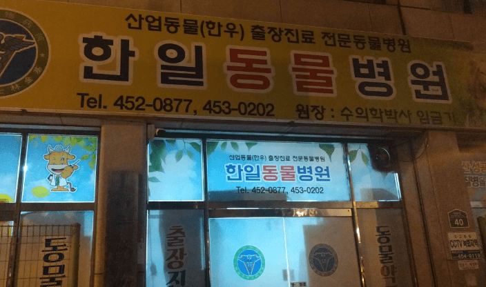 함평군 동물병원