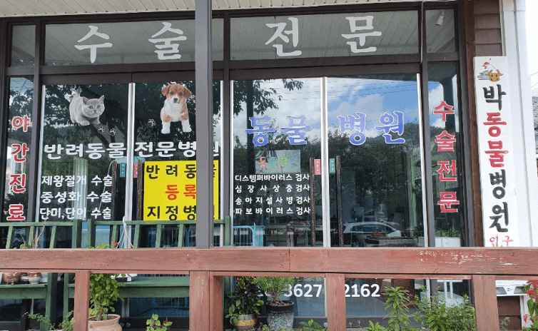 영광군 동물병원