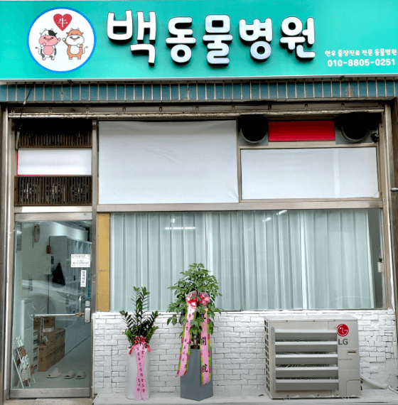 영광군 동물병원