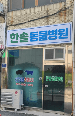 영광군 동물병원