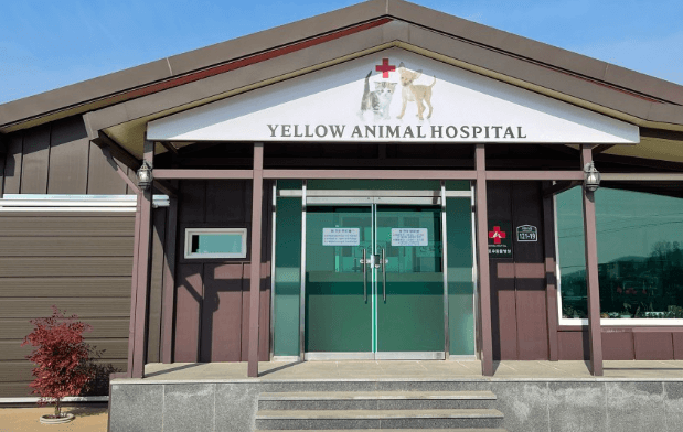 장성군 동물병원