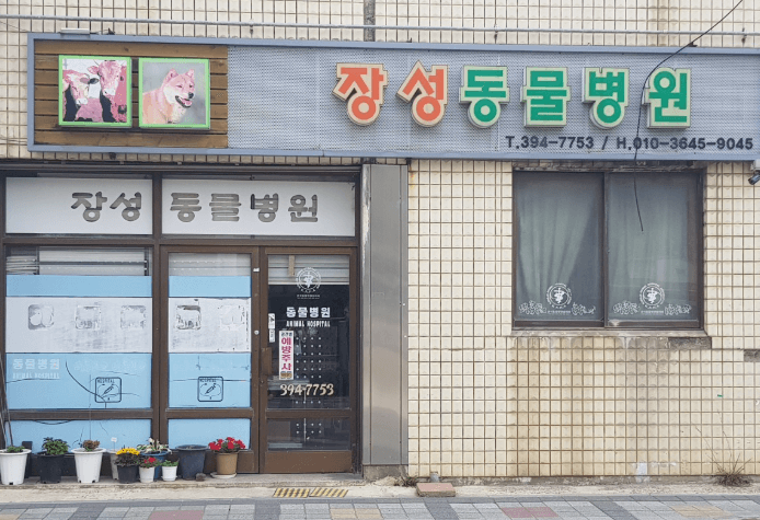 장성군 동물병원