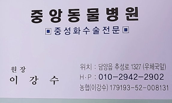 담양군 동물병원