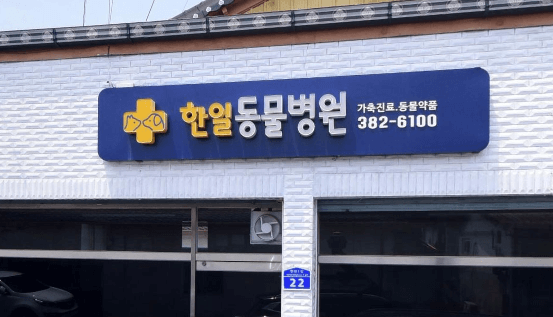 담양군 동물병원