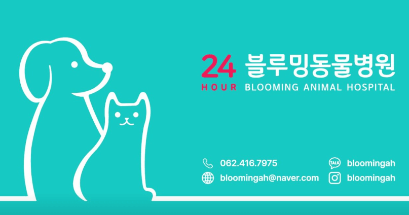 담양군 동물병원