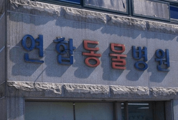 고창군 동물병원